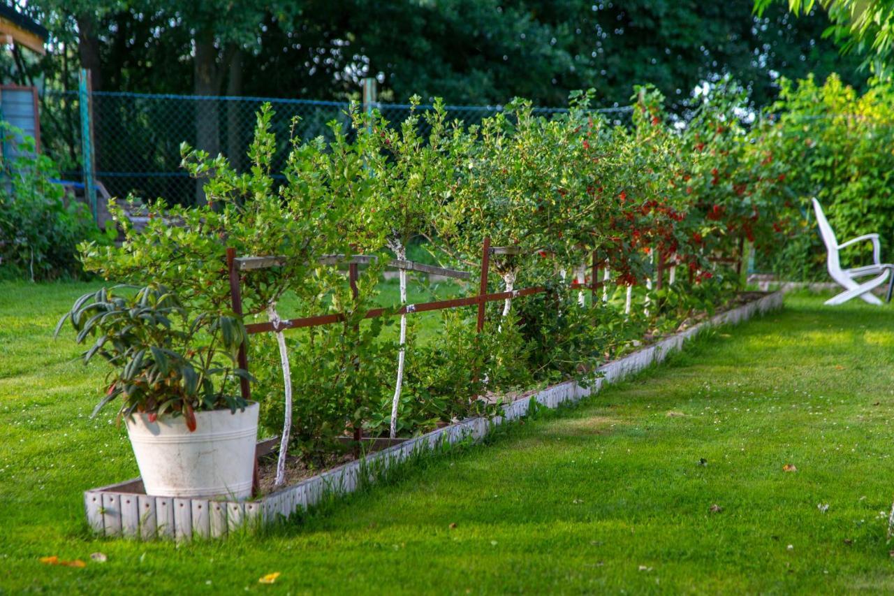 Agroturystyka Sikorki Lubomierz  Exterior foto