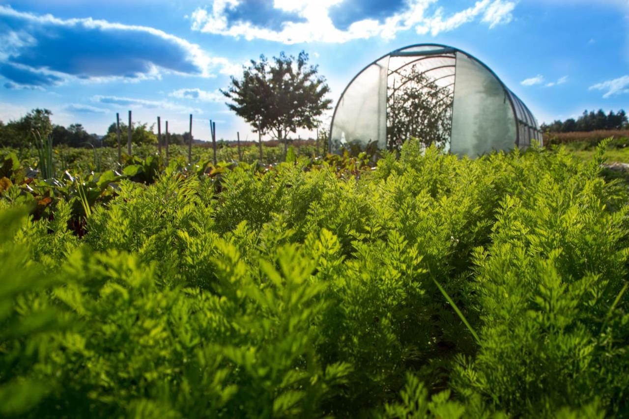Agroturystyka Sikorki Lubomierz  Exterior foto